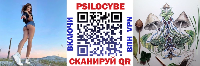 дарк нет клад  Георгиевск  Псилоцибиновые грибы Magic Shrooms 