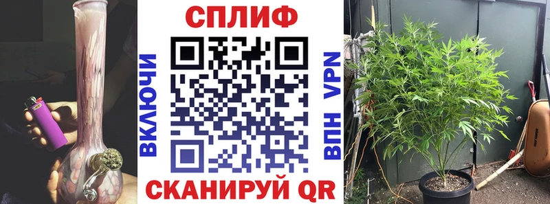 Шишки марихуана ГИДРОПОН  закладка  Георгиевск 